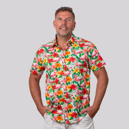 Hawaii Flamingo